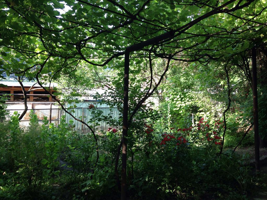Guest House Besarioni Bordschomi Exterior foto